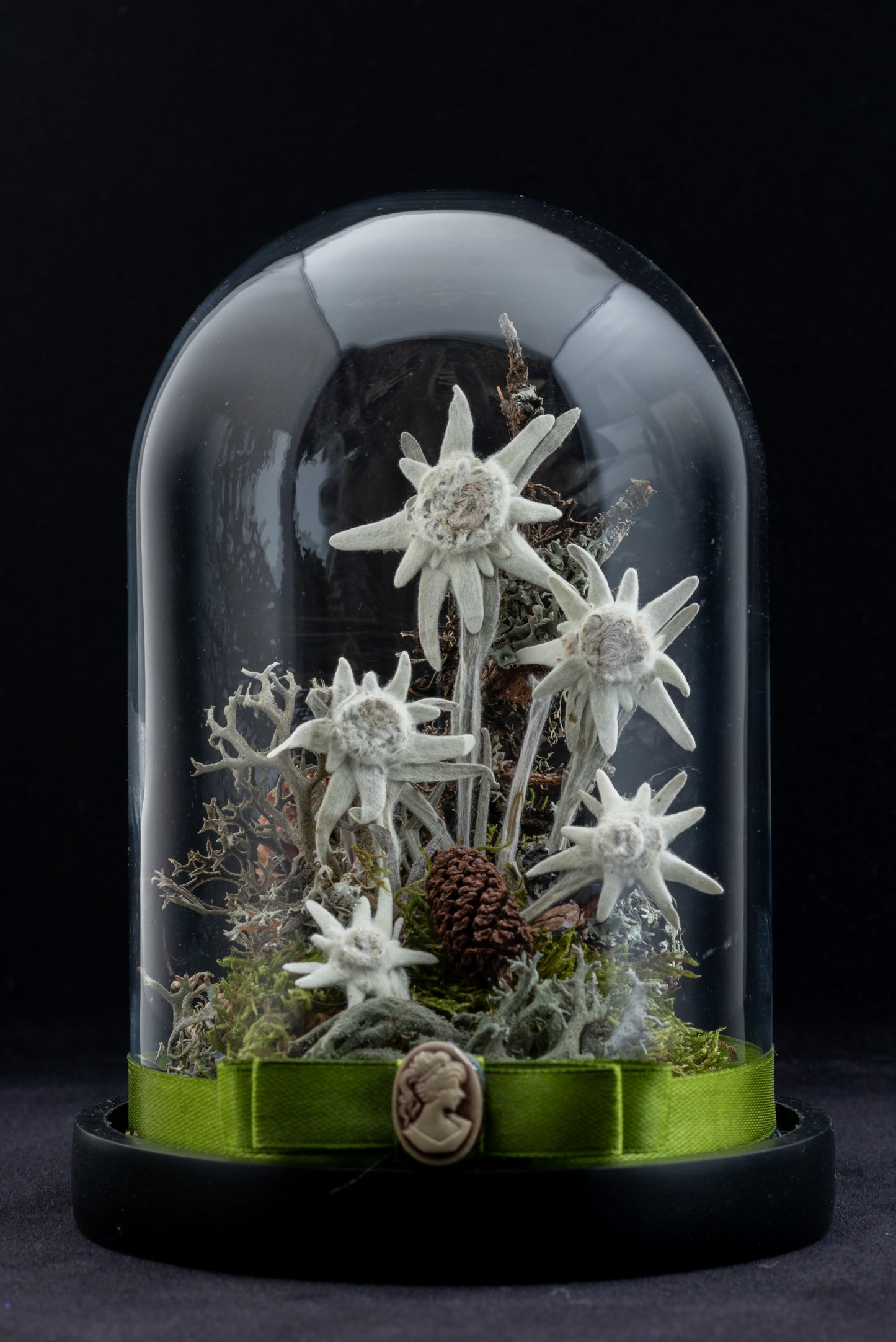 Timeless Edelweiss flower in small glass dome