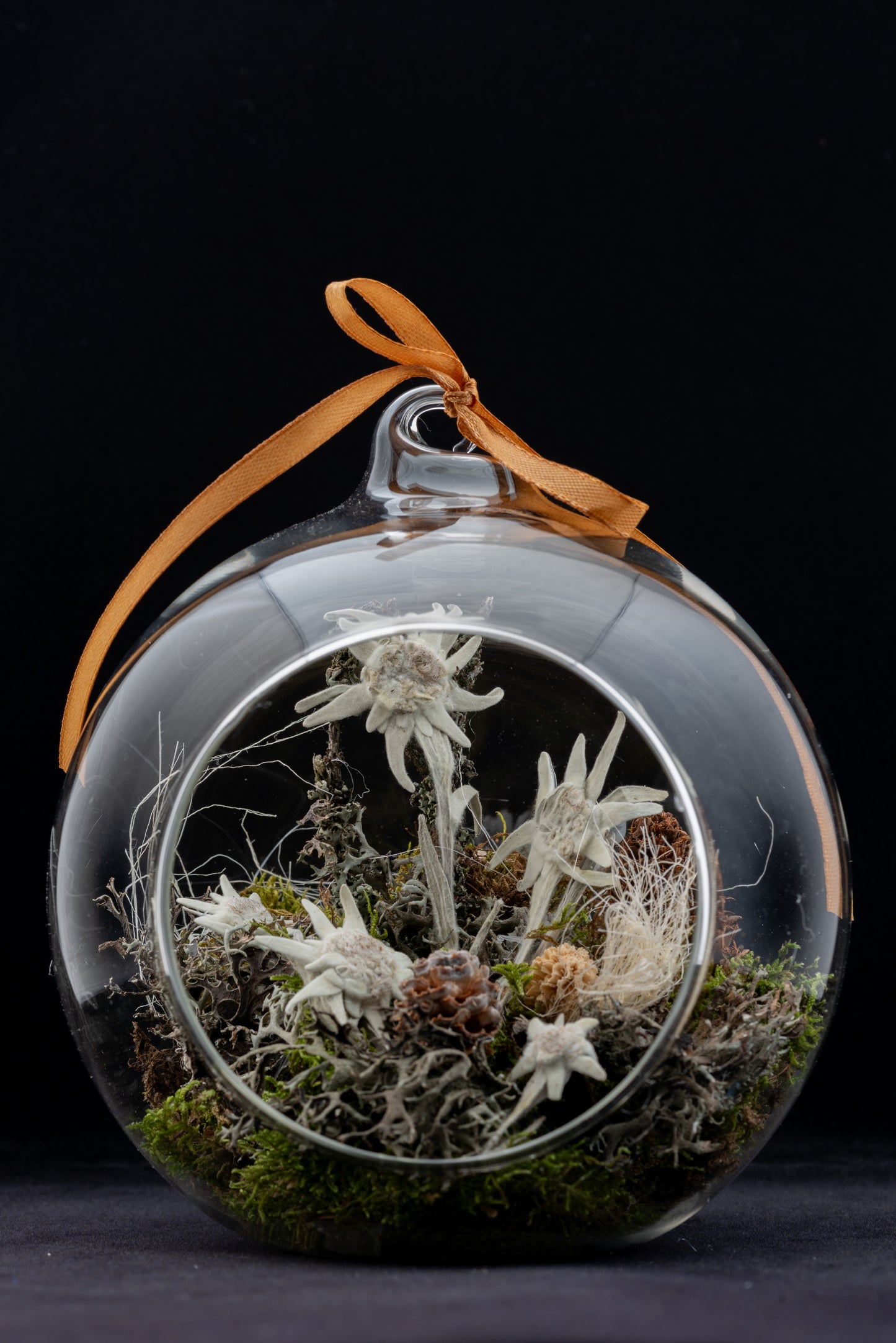 Everlasting Edelweiss flower in large glass globe