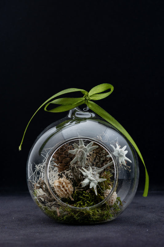 Everlasting Edelweiss flower in small glass globe