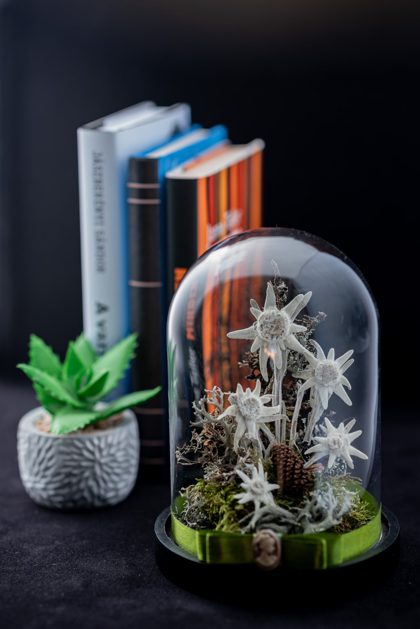 Timeless Edelweiss flower in small glass dome