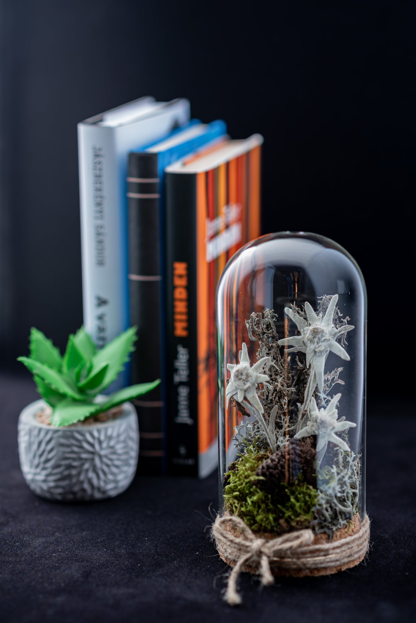 Everlasting Edelweiss flower in small glass dome with cork stopper