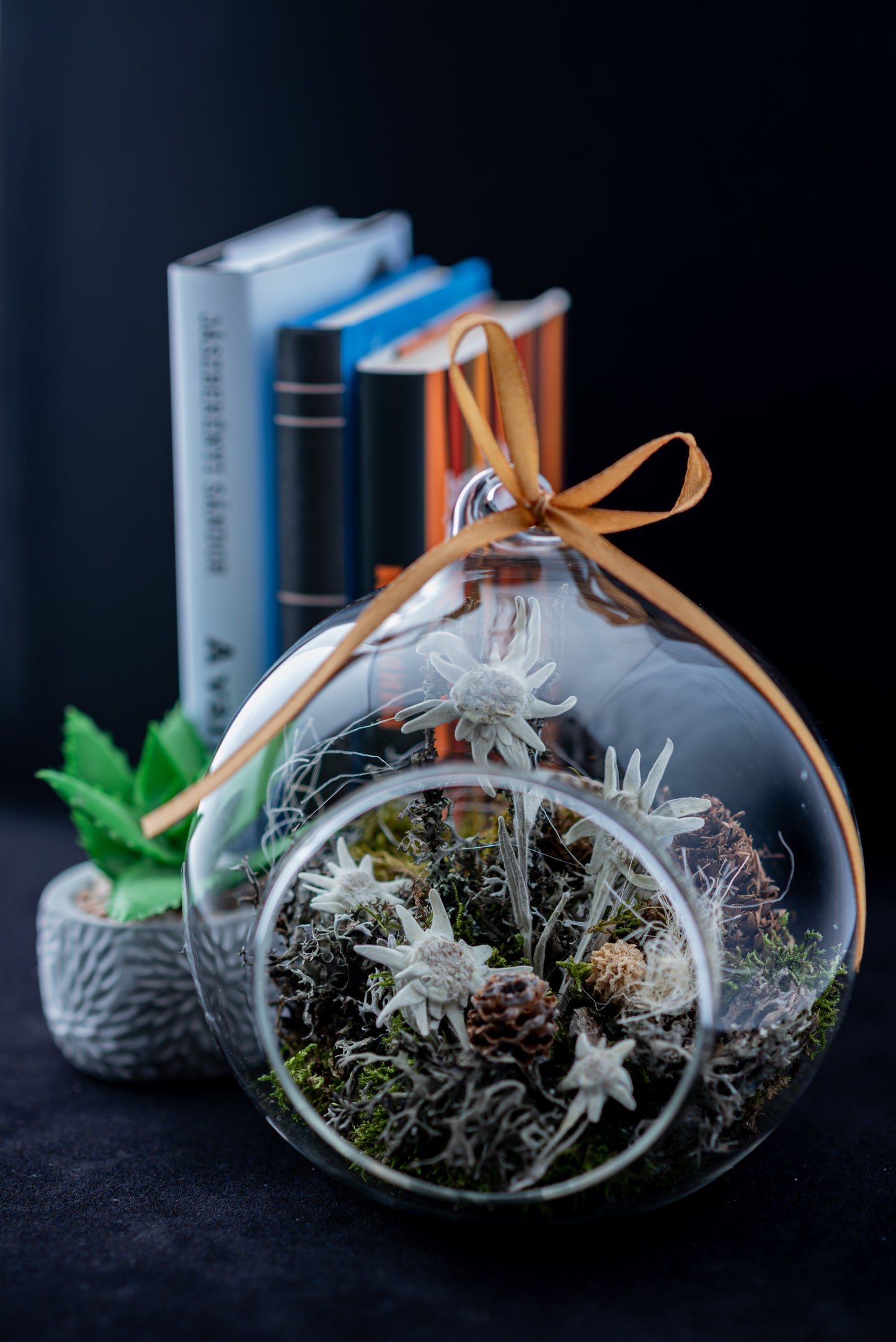 Everlasting Edelweiss flower in large glass globe