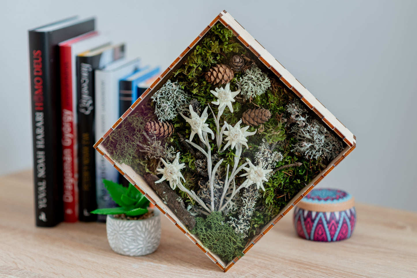 Eternal Edelweiss flower in wooden frame