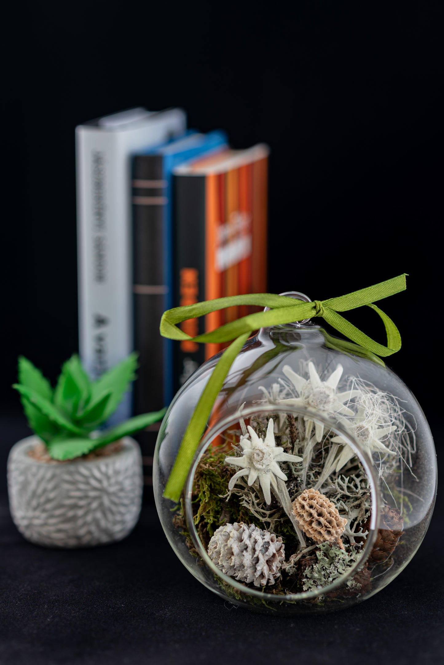 Everlasting Edelweiss flower in medium glass globe