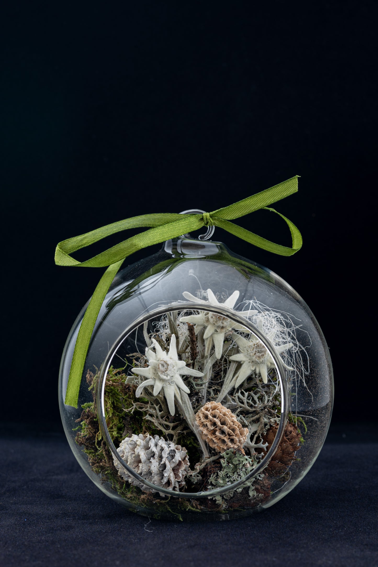 Everlasting Edelweiss flower in medium glass globe